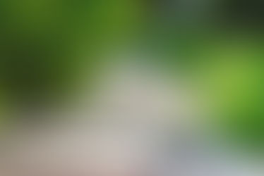 近日公開予定