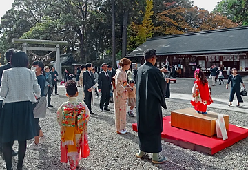 七五三詣（特別祈祷）