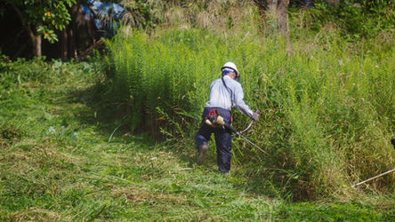 草刈りをする作業員