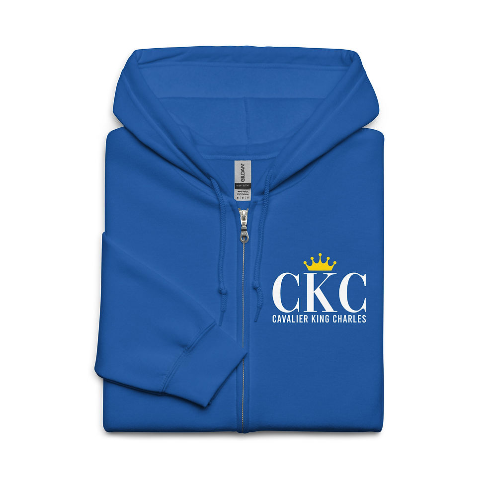 Miniature : Sweat à capuche Bleu CKC