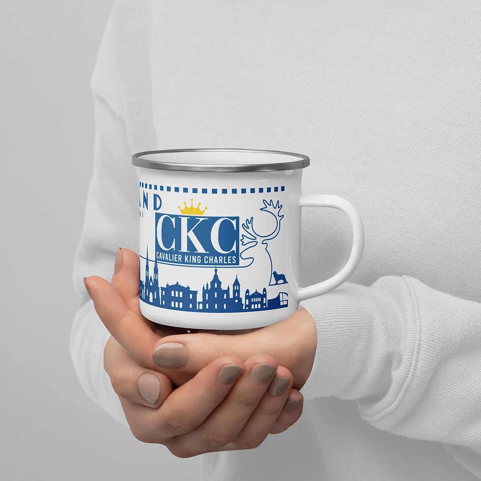 Miniature : Mug emaille CKC - FINLAND