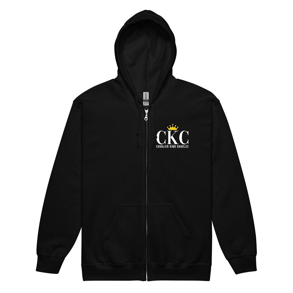 Miniature : Sweat à capuche Noir CKC