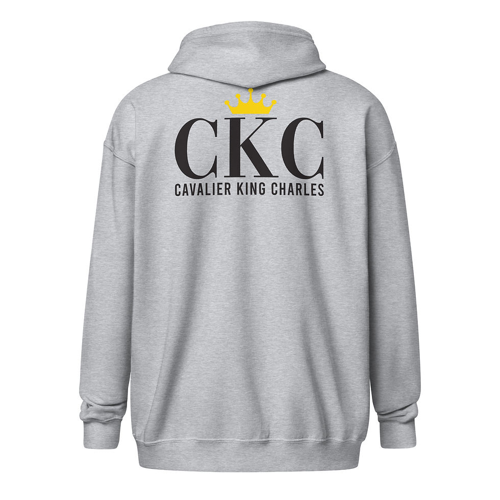 Miniature : Sweat à capuche Gris CKC