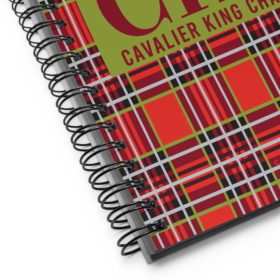 Miniature : Carnet à spirales - KCK - Scotland