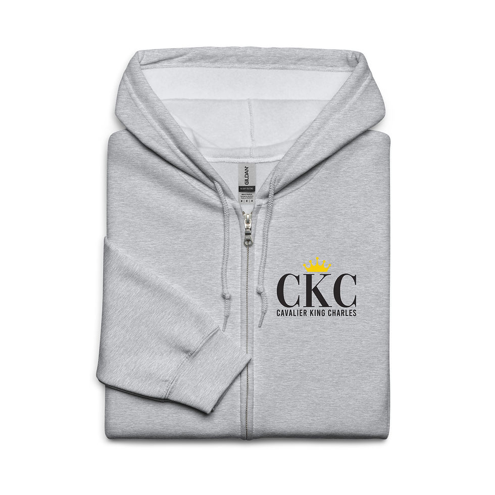 Miniature : Sweat à capuche Gris CKC