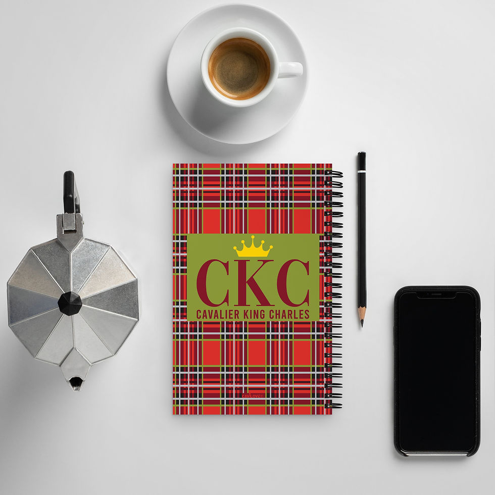 Miniature : Carnet à spirales - KCK - Scotland