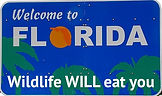 Welcome to FL .jpg
