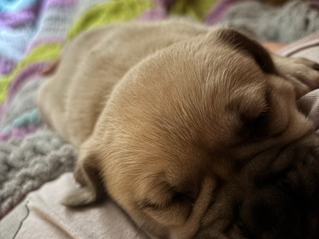 The Stillness That Comes After Healing