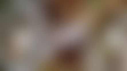 Jasper’s Founding Trio Tackles Sobercuriosity