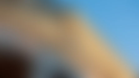 From the Editors' Desk