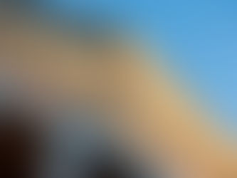 From the Editor’s Desk