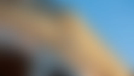 From the Editor’s Desk