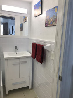 Guest Bedroom ensuite bathroom