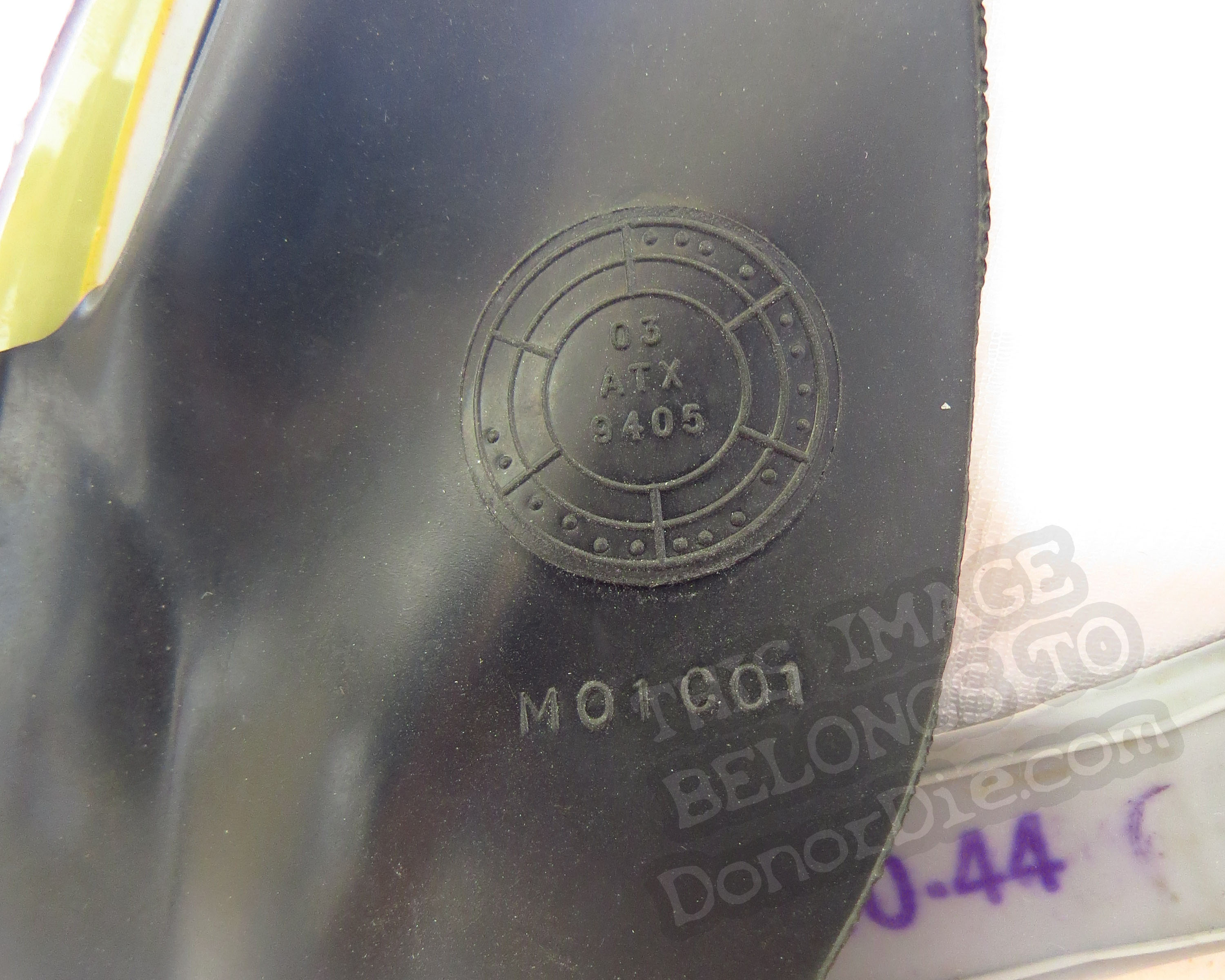 Markings on the Second Skin