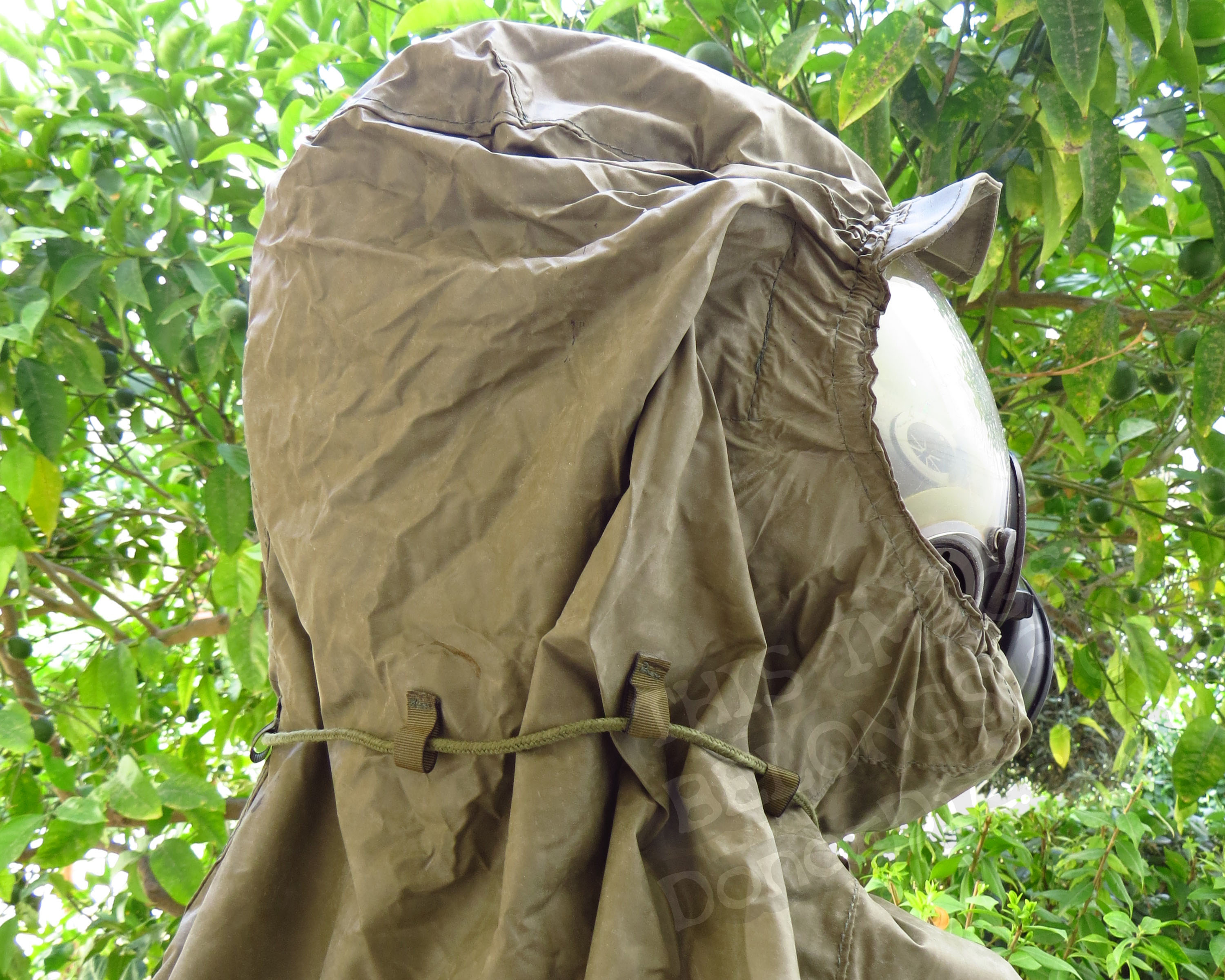 Side View of the Mask