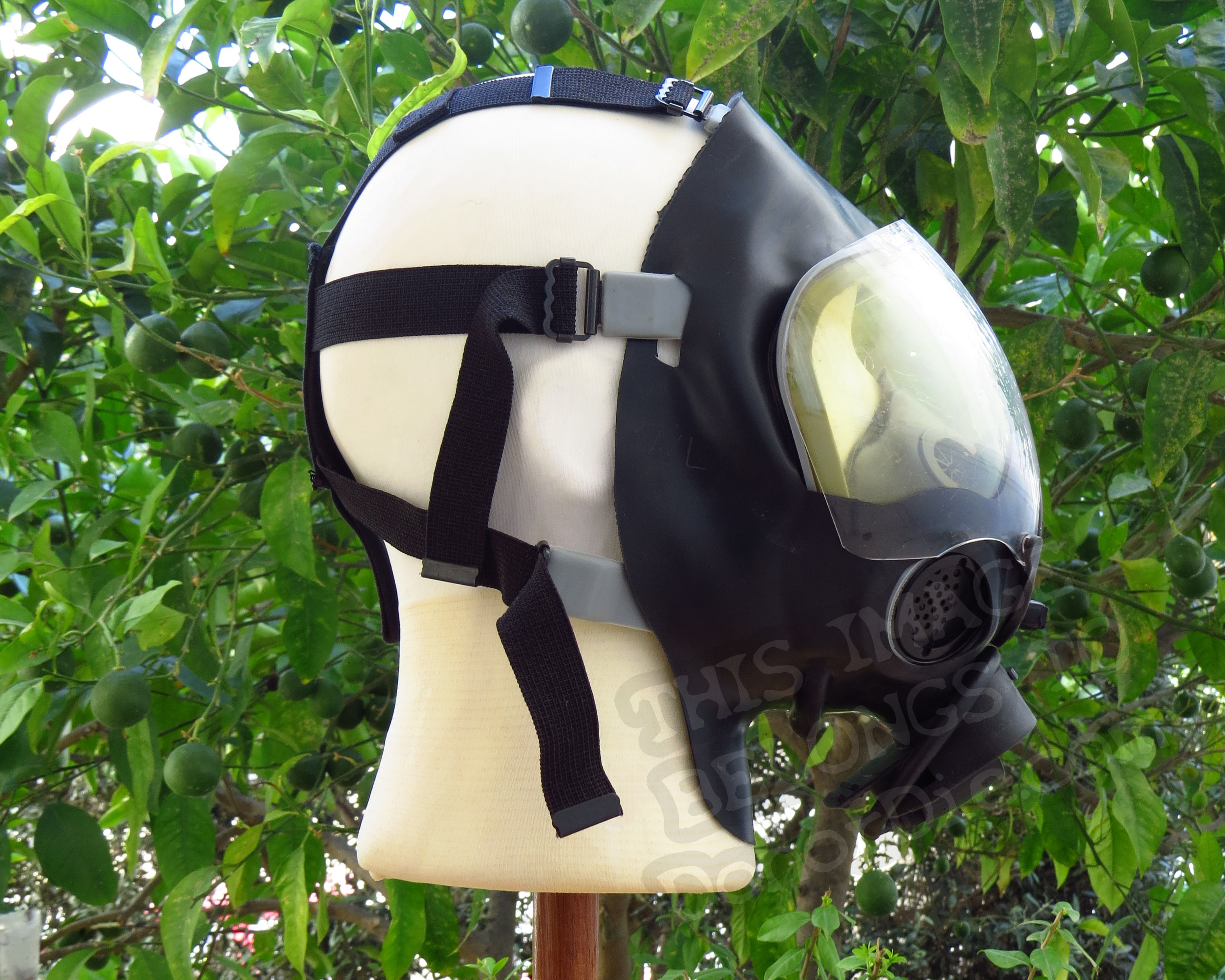 Side View of the Mask