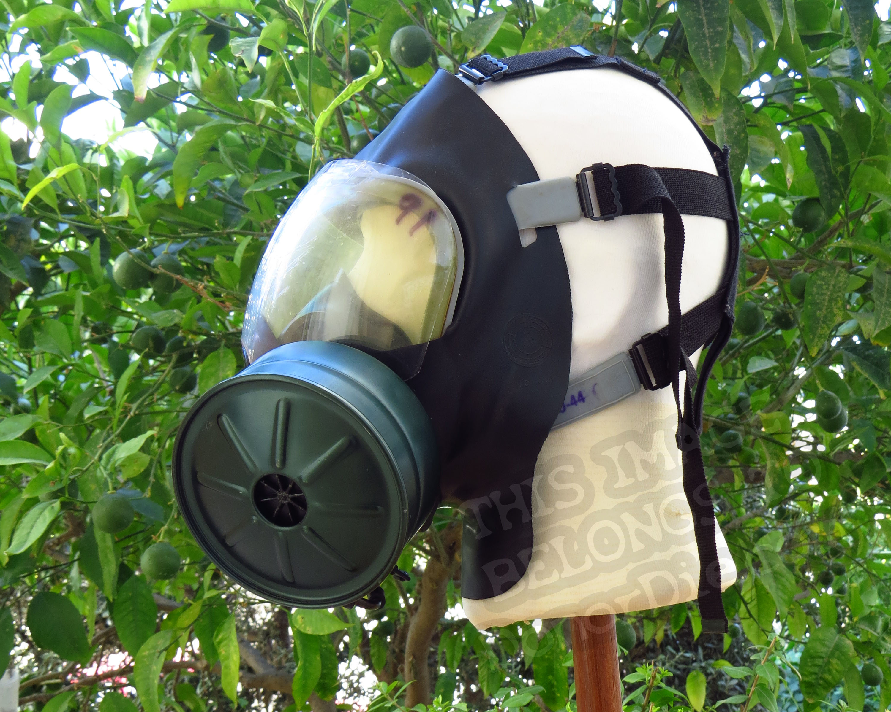Side View of the Mask