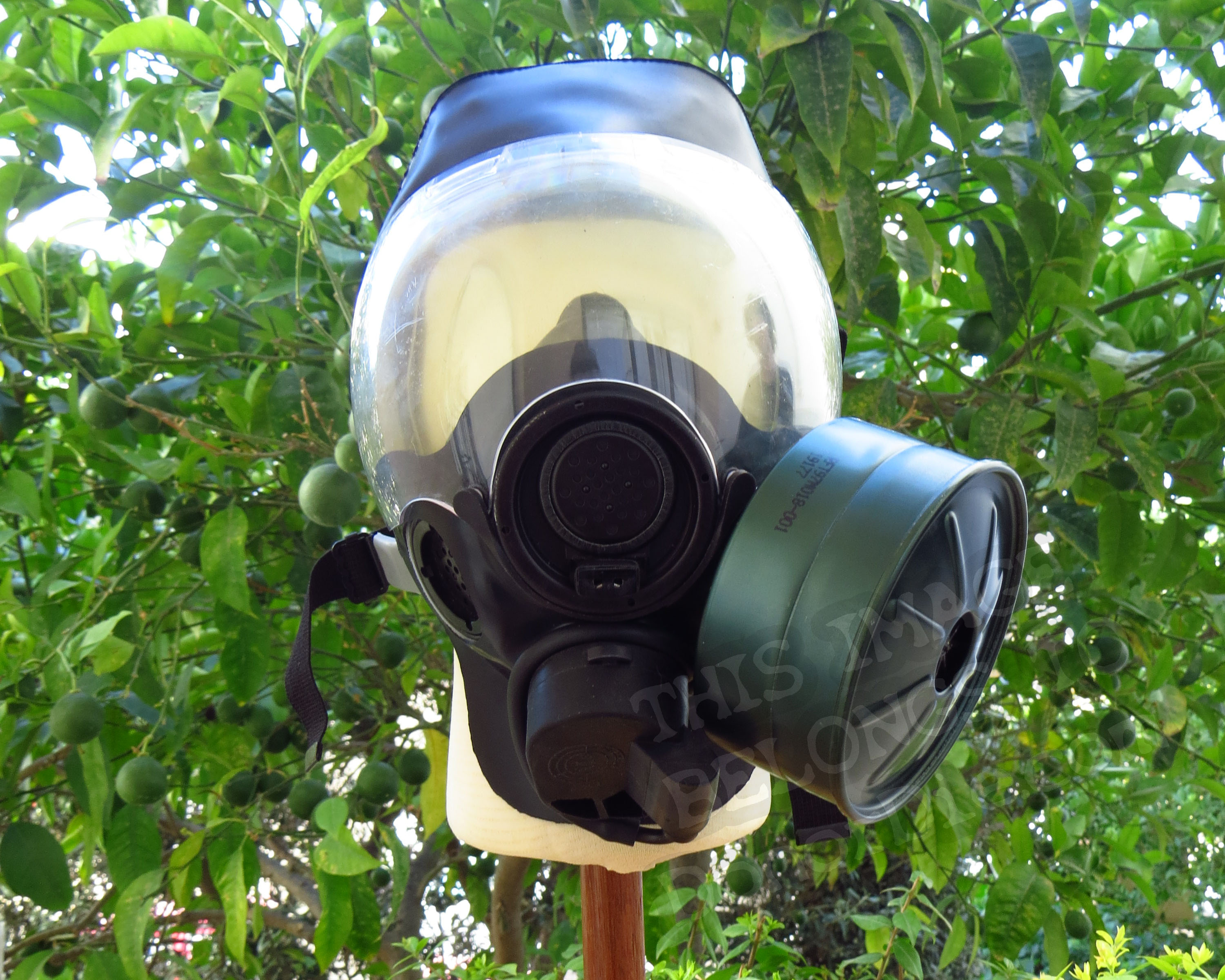 Frontal View of the Mask