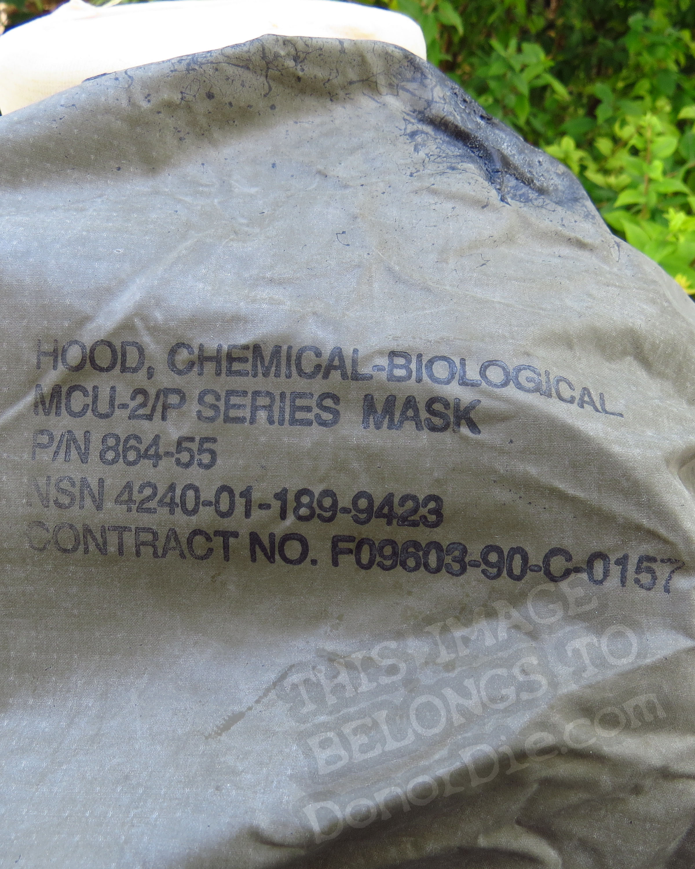 Markings on the Inside of the Mask