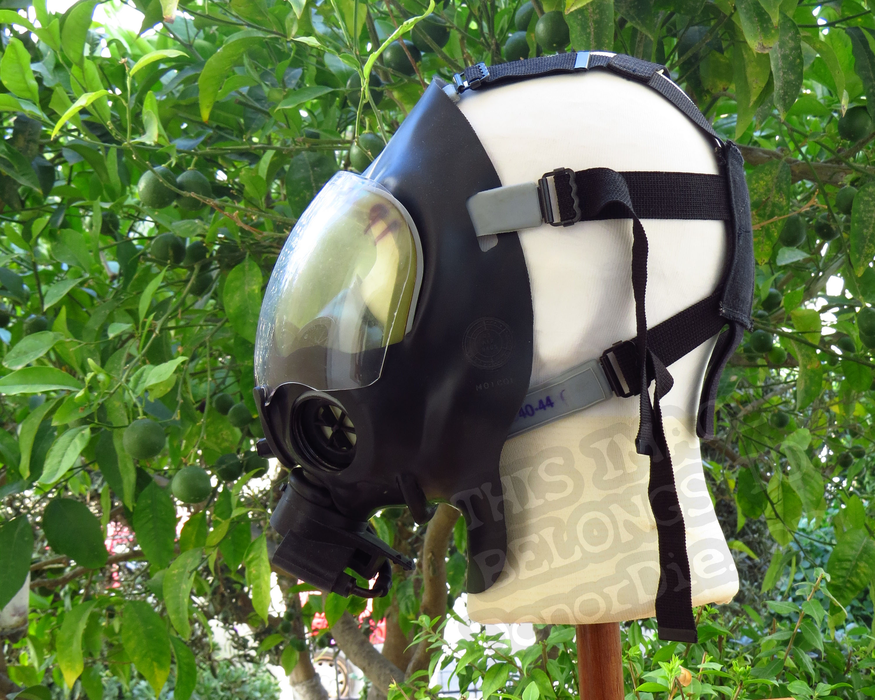 Side View of the Mask