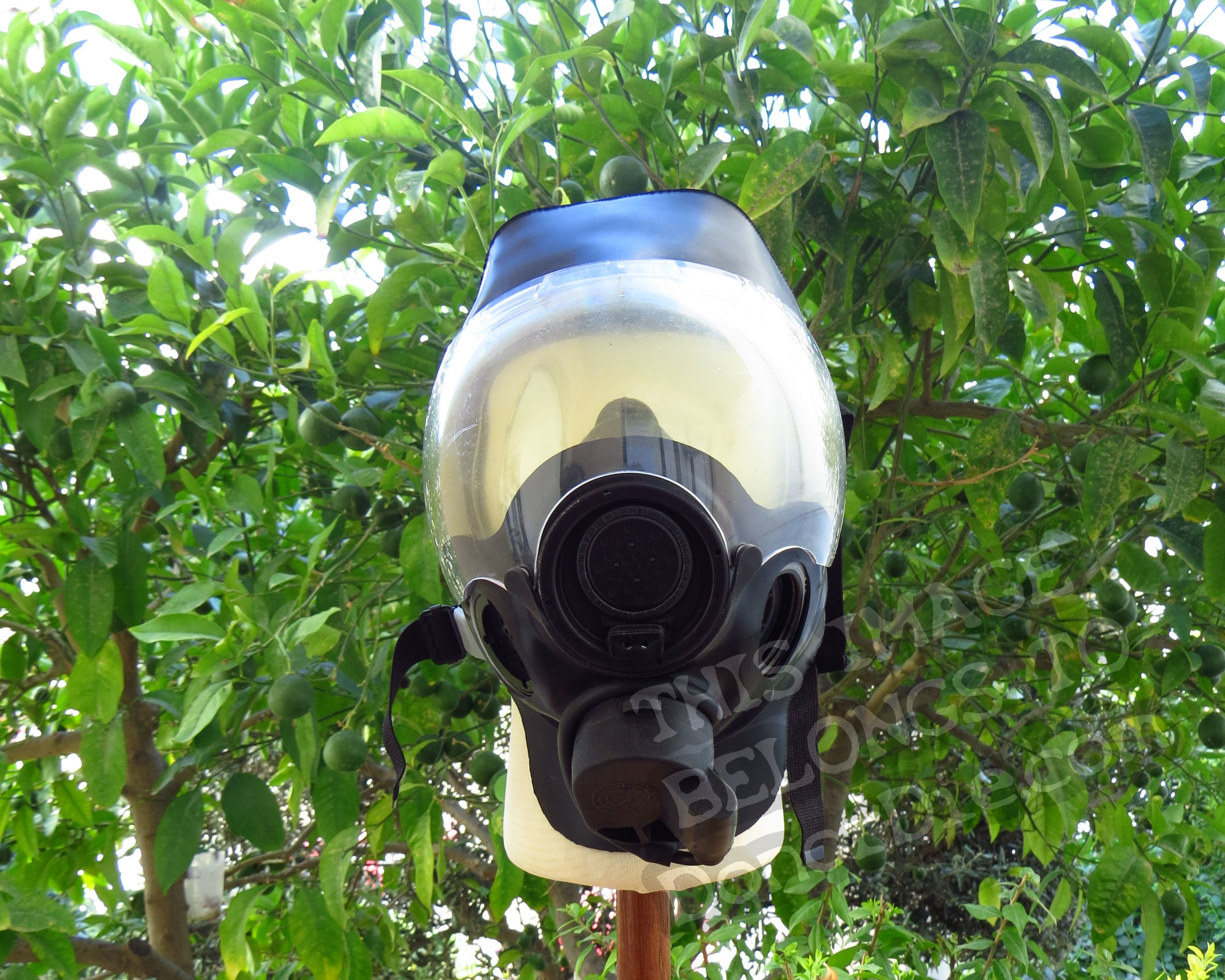 Frontal View of the Mask