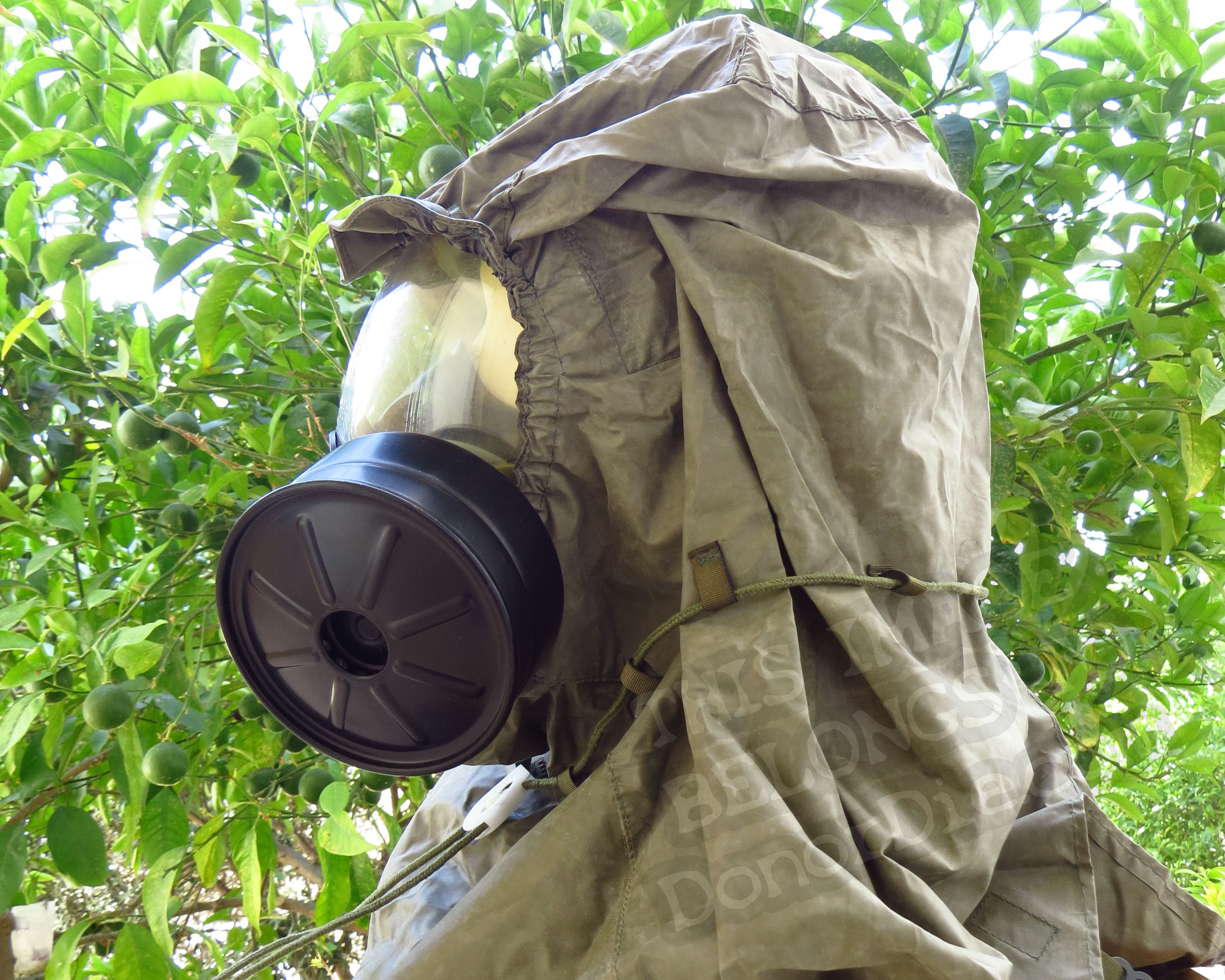 Side View of the Mask