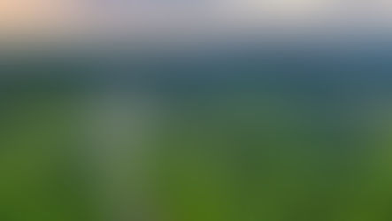 A new conservation area protects vital water sources for 80,000 people