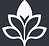 Cópia de Cópia de Flora Beauty.png