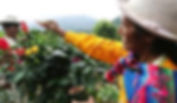 Peru.jpeg