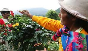 Peru.jpeg
