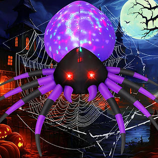 spider.jpg