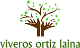 Imagen1-ff24ad0f.png