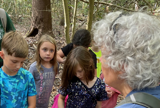 Brompton Community School Academics