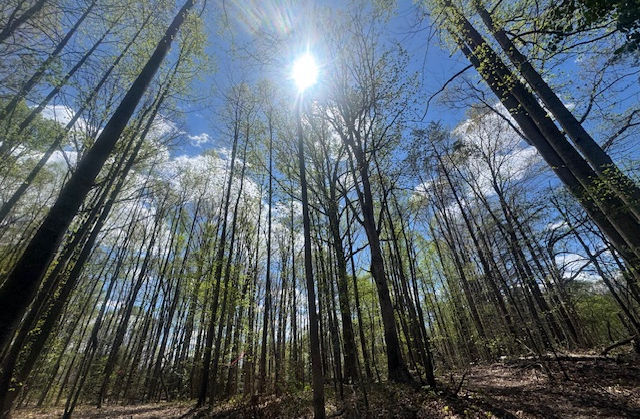 Hour Homes - Mountain View Meadows Site Photo