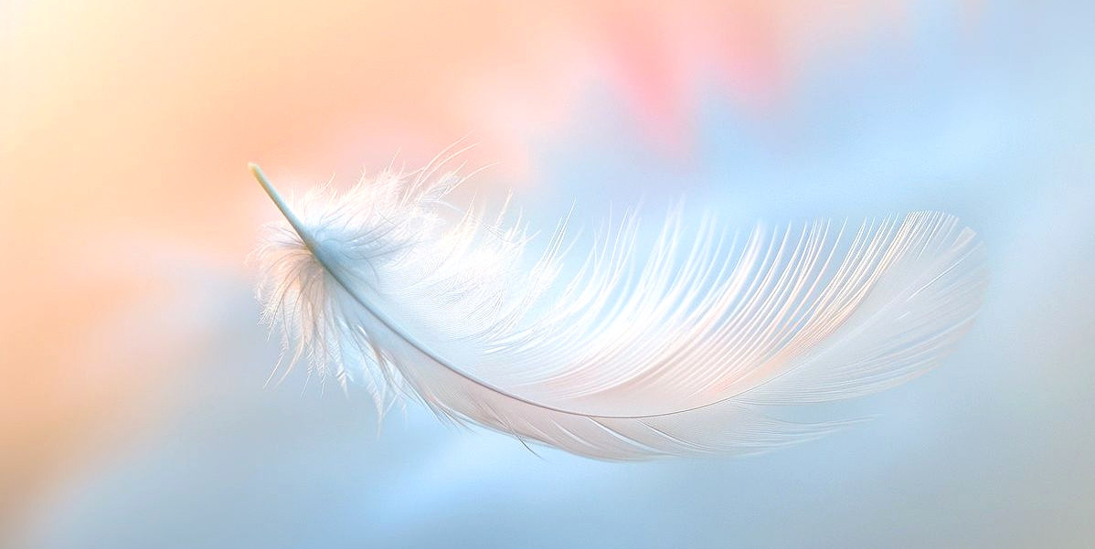 plume fond pastel ciel_edited.jpg