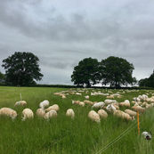 FL0QvYvXEAQULhD (1).jpg