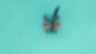 Vitamin Sea From The Sky.jpg