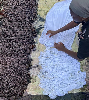 WhatsApp Image 2025-12-08 at 15.57.38.jpeg