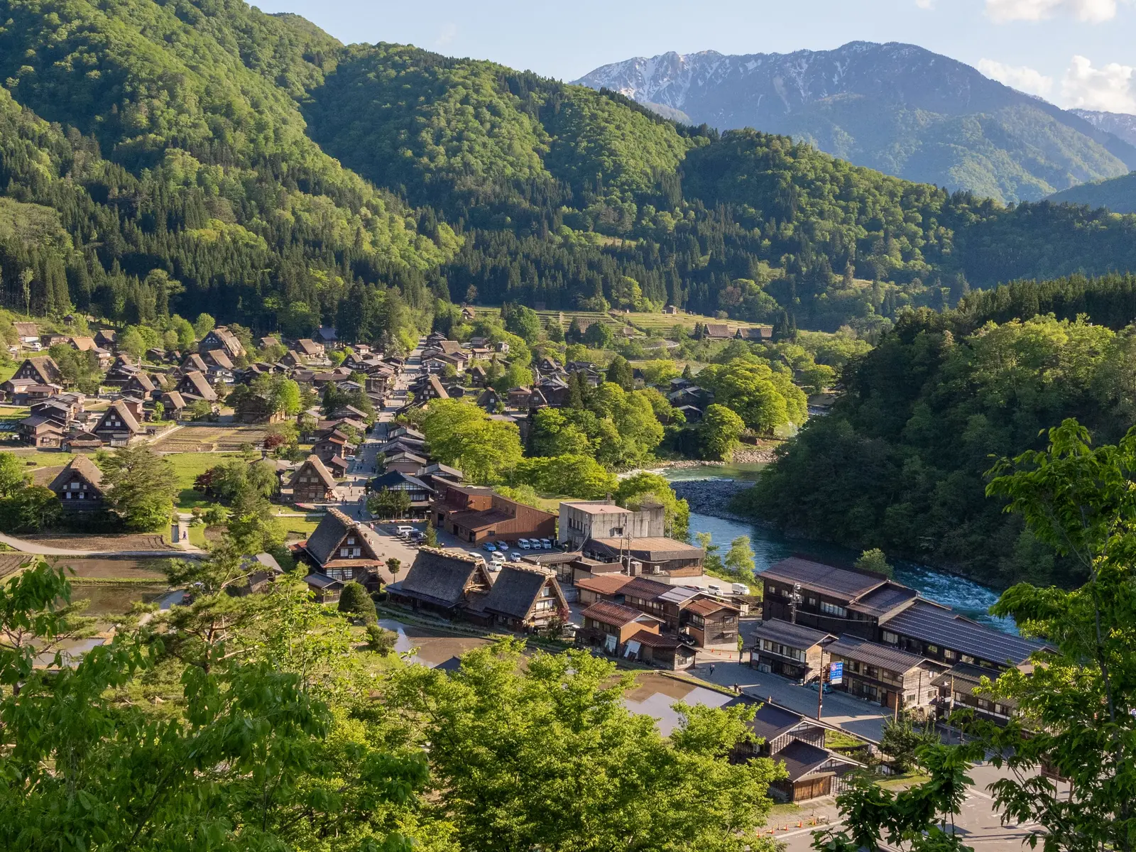 岐阜の営業代行おすすめ4社|対応範囲・費用・選び方