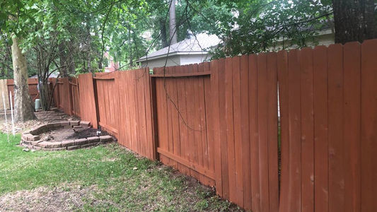 After fence paint and repair.