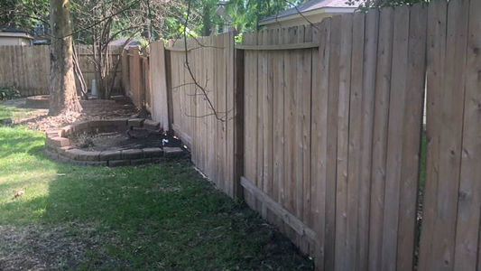 Before fence paint and repair.
