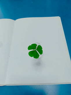 clover.jpeg