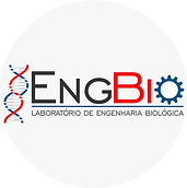ENGBIO.png