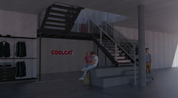 CoolCat - Tilburg