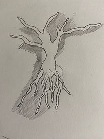 IMG_1986.jpeg