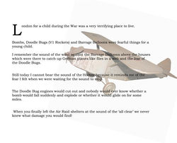 Hoovers sound like Doodle Bugs