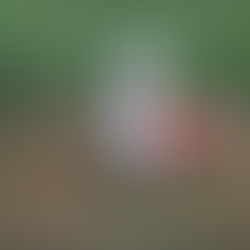 ☆月形&歌志内にて交流試合☆