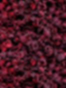 ree
