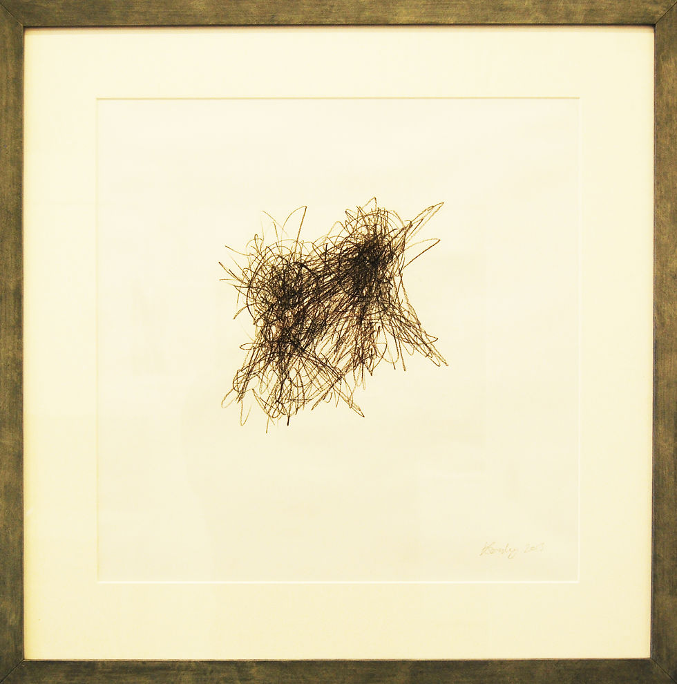 Drawing as Thinking Series, 2013