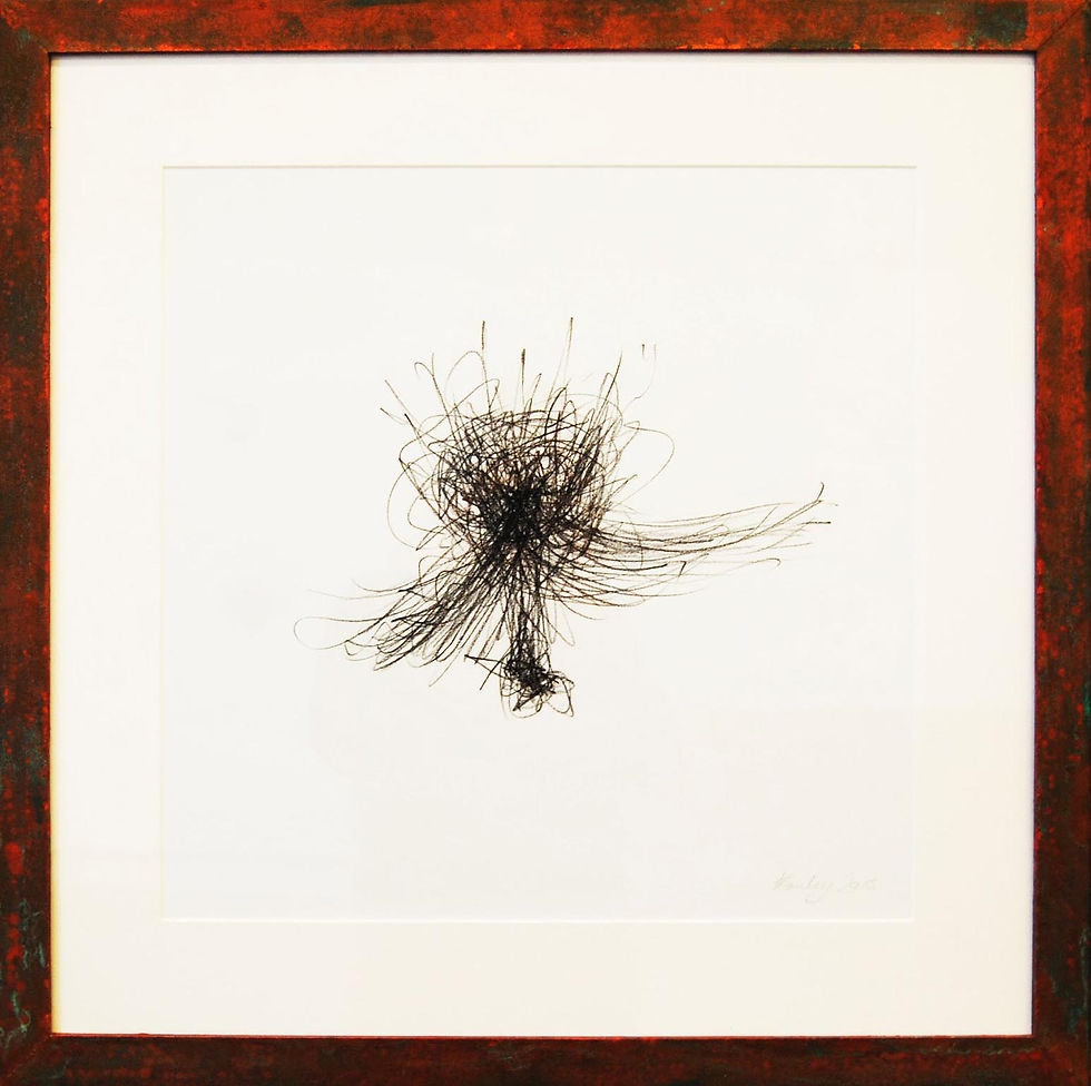 Drawing as Thinking Series, 2013
